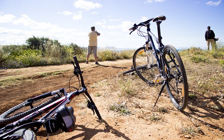 choses à voir et faire pour profiter de vacances de rêve à El Rompido: Promenades en vélo