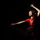 flamenco