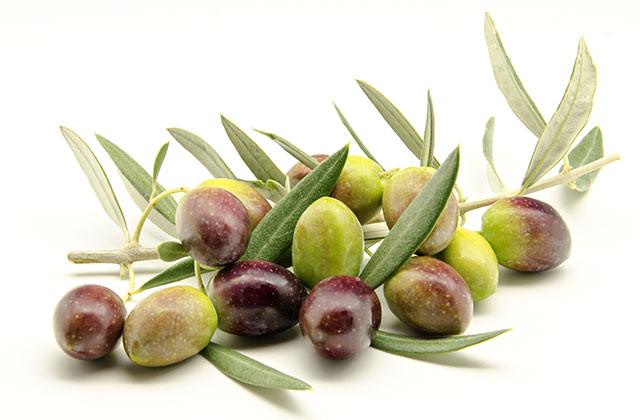 Aceitunas 