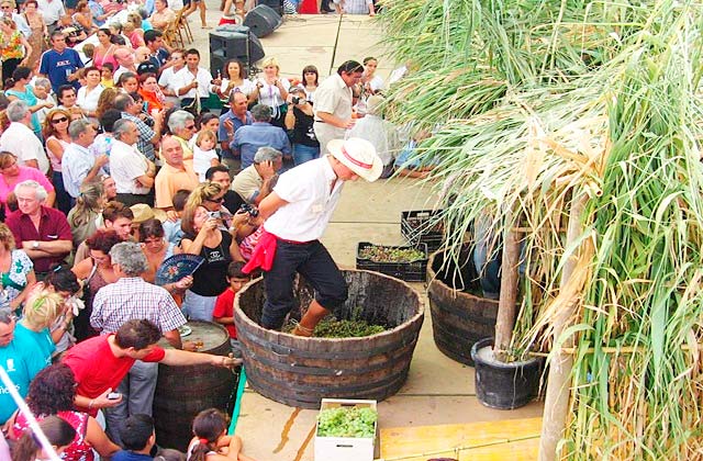 Fiesta de los viñeros, Moclinejo