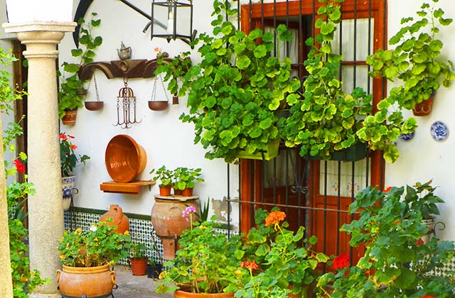 Patios de Andalucia - San Roque, Cádiz