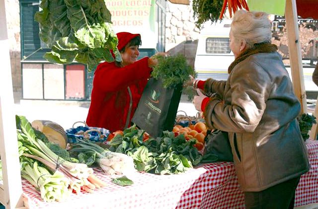 cleanse your body in Malaga - Eco Market in Antequera