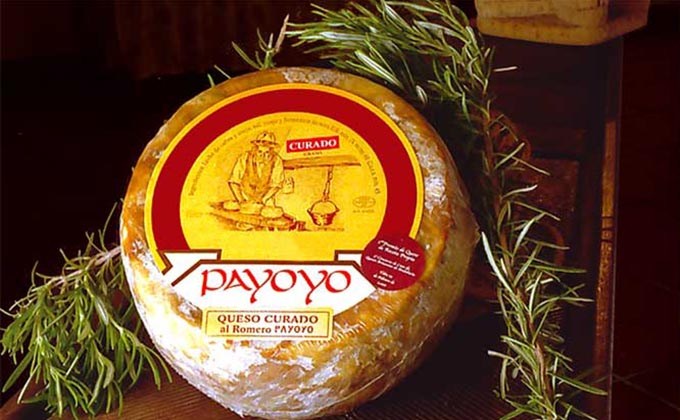 Route des besten Käse der Sierra von Cadiz - Payoyo