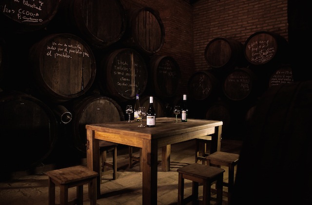 Best Andalucian wines: MIORO Gran Selección. Fotografía de www.cayuelavideos.com
