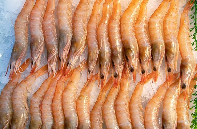 Gamba Congelada Blanca de Huelva directa de la Lonja