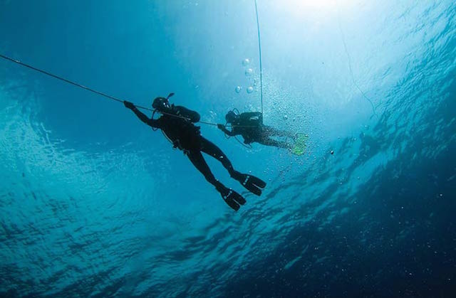 20 things to see and go to in Marbella - Diving in Marbella
