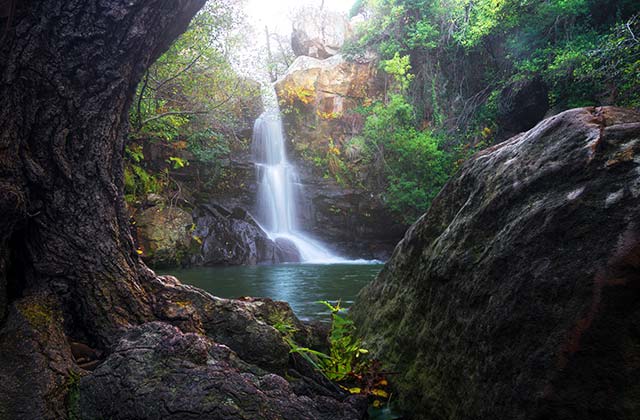 Parque Natural de Los Alcornocales