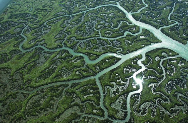 Visitez l'Andalousie depuis les airs dans une montgolfière et profitez de ses paysages des yeux d'un oiseau: Doñana