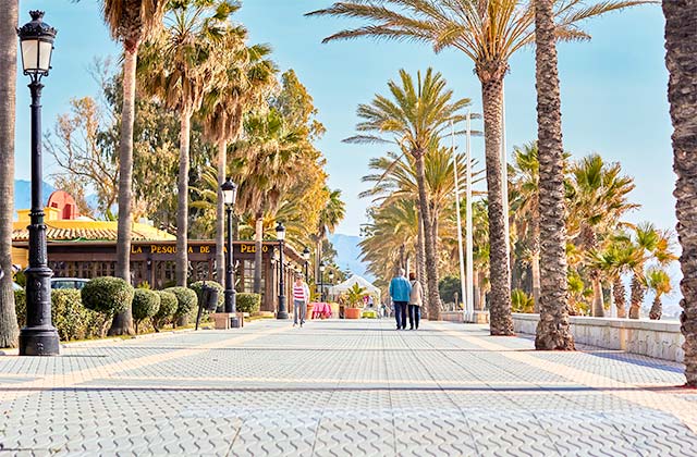 Markets in Marbella area - Tours by sunmarbella