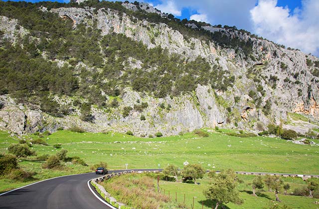 A cuatro patas en Grazalema