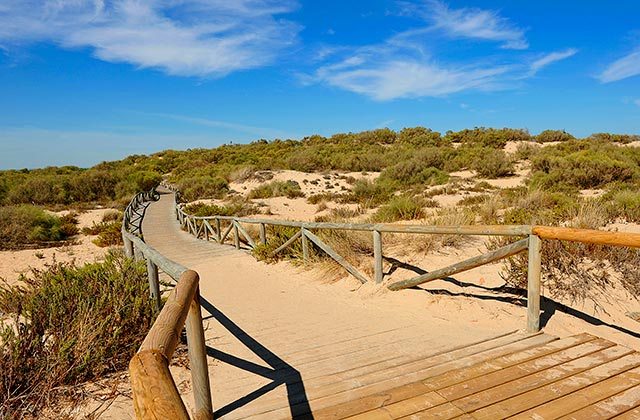 Playas nudistas Huelva Costa de la Luz - Playa flecha nueva Umbria
