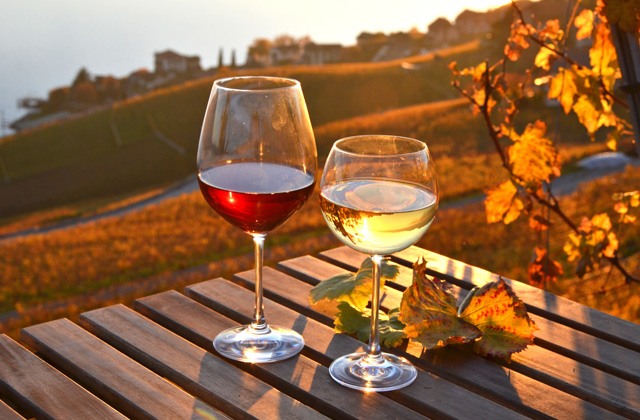 Weintourismus Spanien Andalusische Wein Eine Lebenskultur