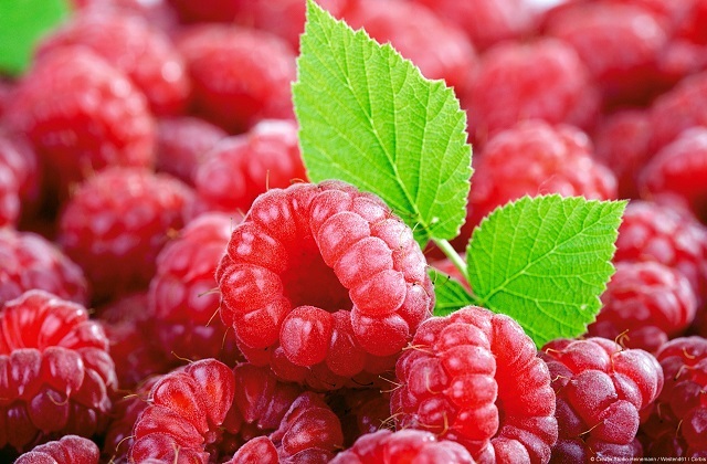 cleanse your body in Malaga - Raspberries