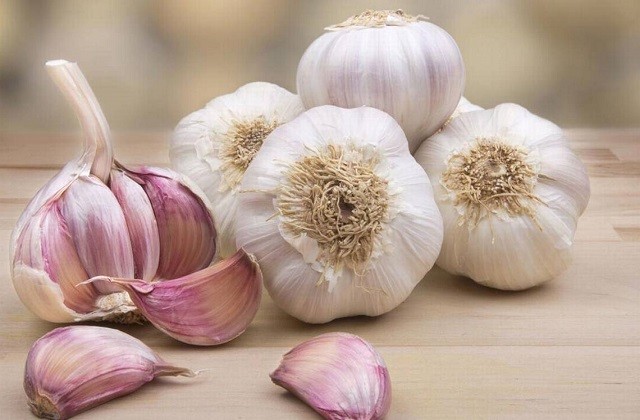 cleanse your body in Malaga - Garlic
