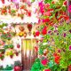 primavera en Andalucia