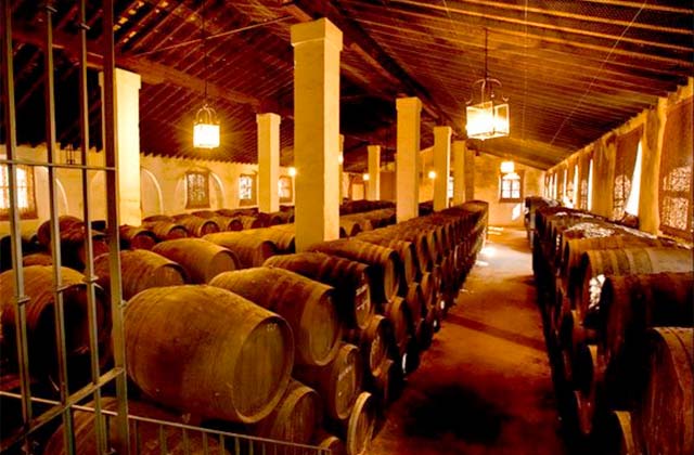 Bodegas Álvaro Domecq