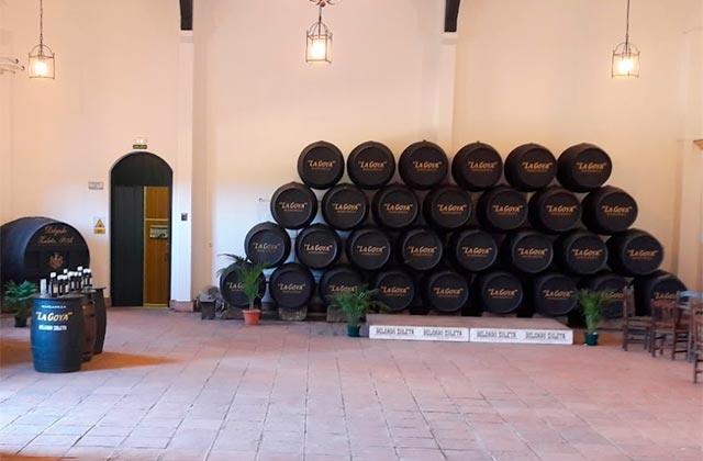 Bodegas Delgado Zuleta