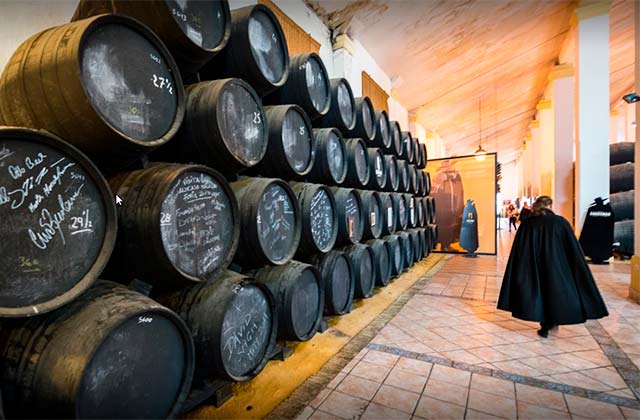 The Best Jerez wineries, bodegas en Jerez de la Frontera Spain