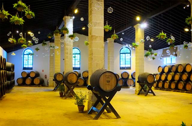 bodegas Tío Pepe-González Byass