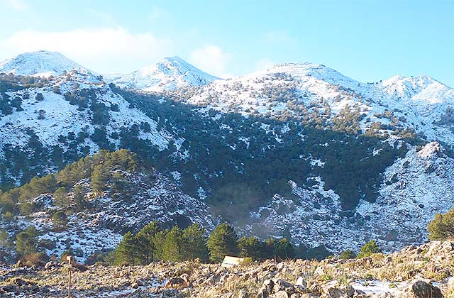 Ruta circular Sierra de Grazalema: Pico del Simancón