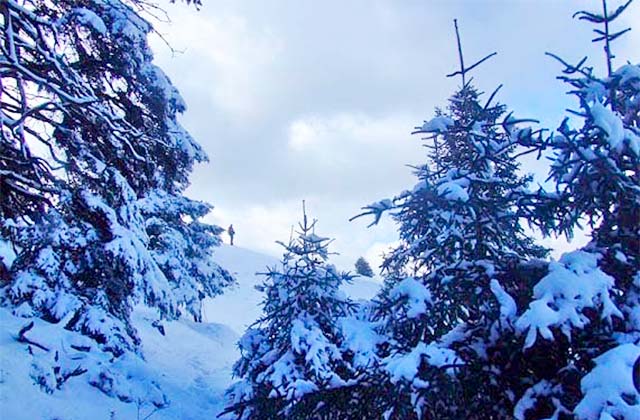 Routes de randonnée pour profiter de la neige en Andalousie 