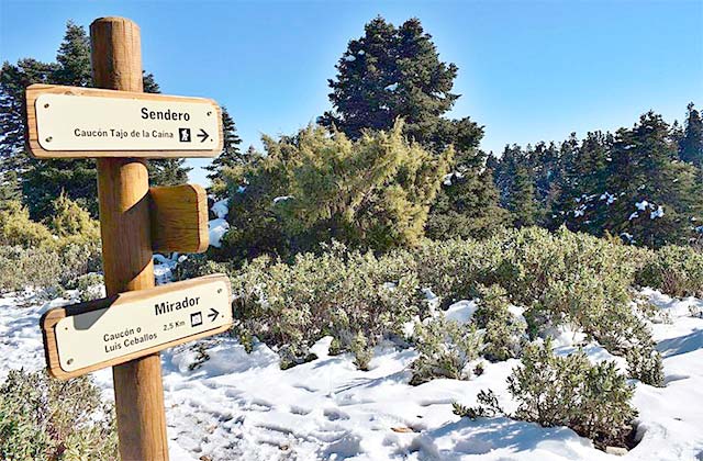 Schnee in Andalusien- Ruta circular Sierra de las Nieves: Caucón-Tajo de la Caína