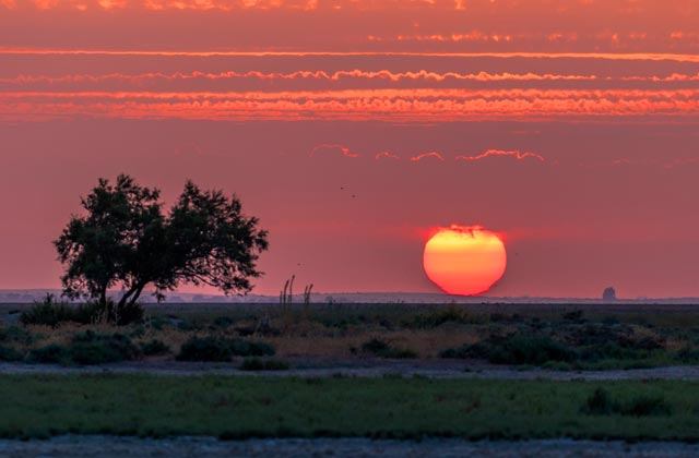 Family holidays in El Rompido, Holiday with kids El Rompido Huelva