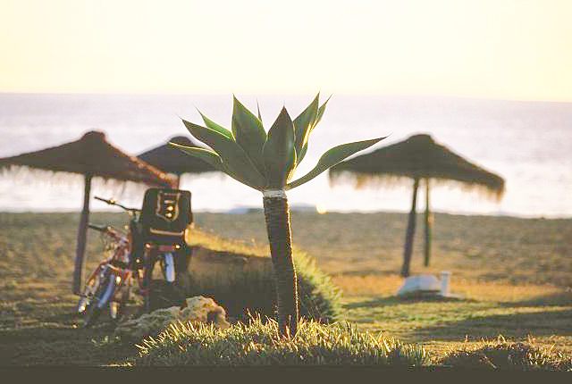 Playa de Atalaya, Estepona