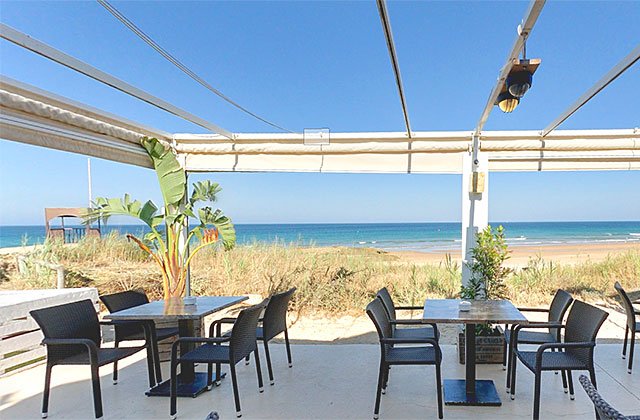 Restaurante La Torre El Palmar