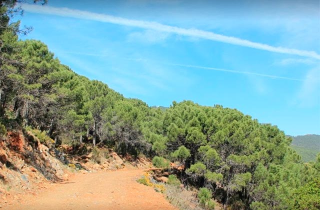 Andalucia hiking trails - Sendero Fuente del Porrejón
