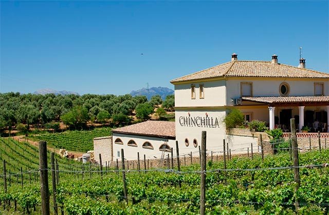 Bodega Doña Feliza, Chinchilla