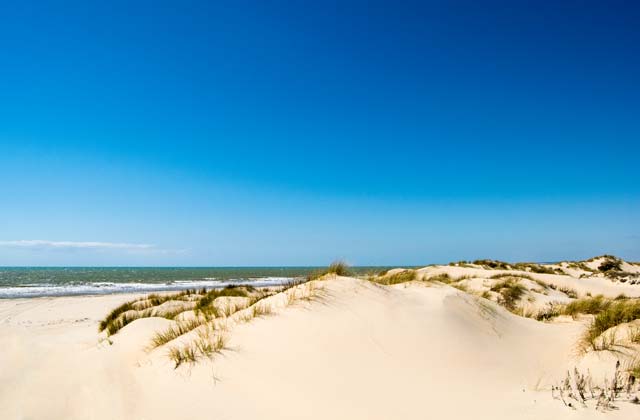 Doñana moving dunes