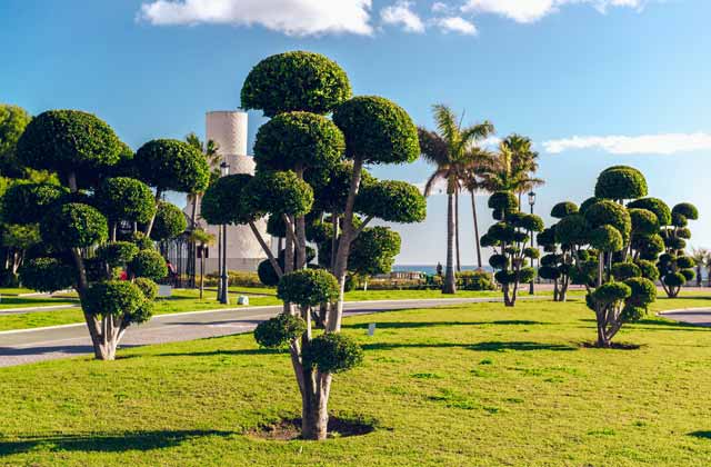 Parque de la Batería