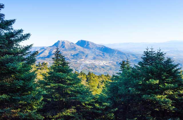Sierra de Grazalema