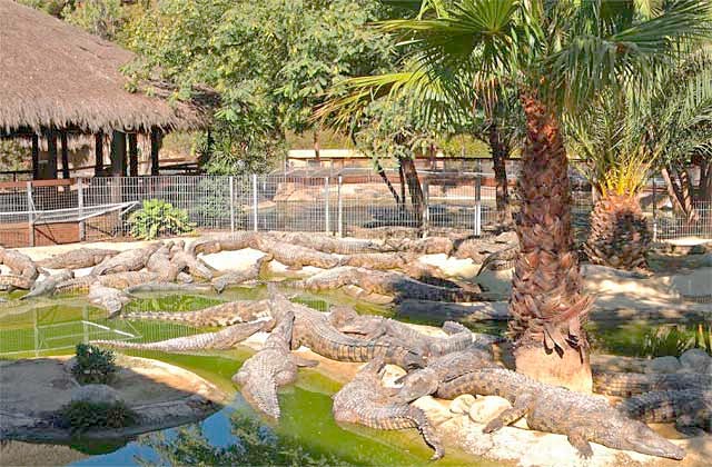 Krokodil Park