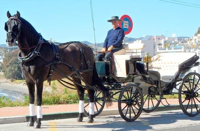 Pasea en coche de caballos