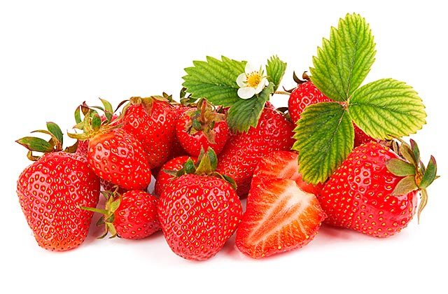 Huelva strawberries, varieties 