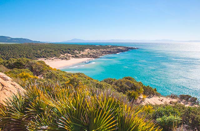 Cañuelo Strand, Maro