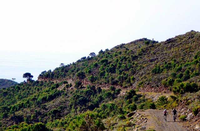 Camino de la Artesa - Fotografía Estepona Natural - www.estepona-natural.es