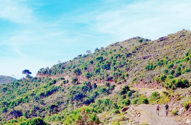 Camino de la Artesa – Fotografía Estepona Natural – www.estepona-natural.es