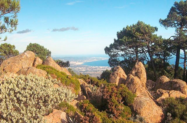 Sendero Pico de Los Reales - Fotografía Estepona Natural estepona-natural.es