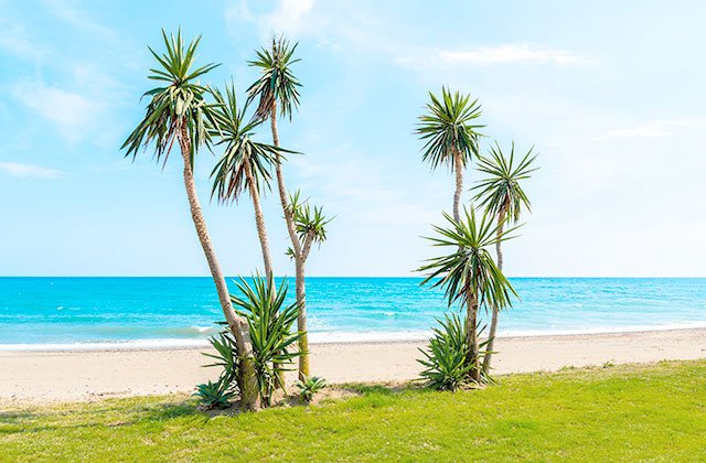 playas Estepona