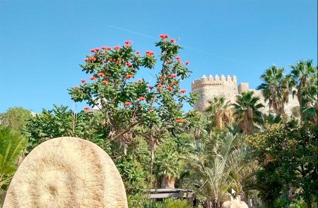 Almuñecar Parque Botánico-Arqueológico El Majuelo