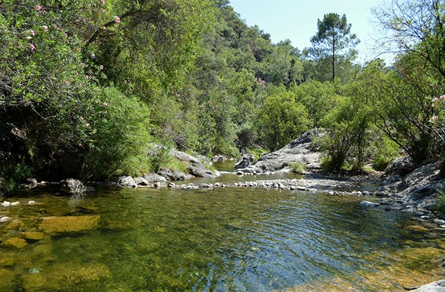 Charco del Canalón