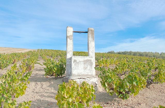 La Ruta del Vino Montilla-Moriles