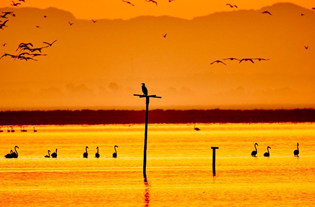 Parque Nacional de Doñana