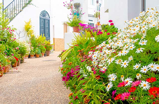 Ruta de los patios de Conil