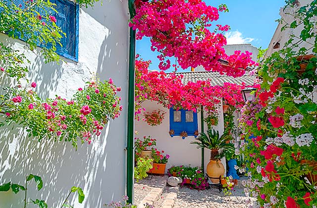 Ten Andalucian Patios You Cannot Miss