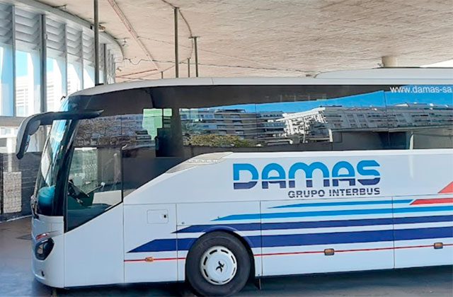 autobuses Damas