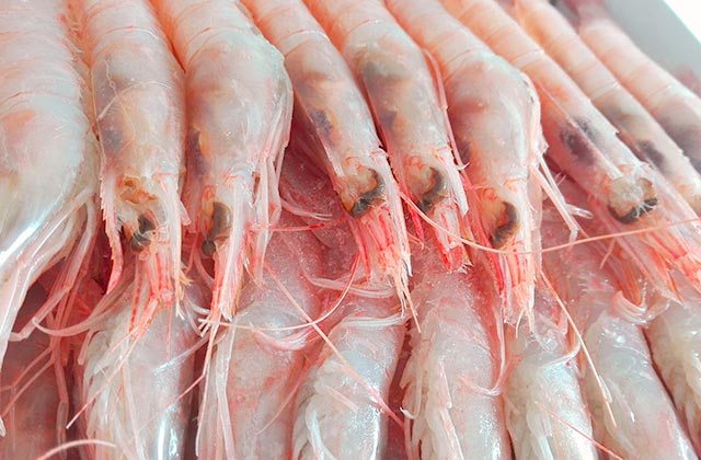 Gamba Congelada Blanca de Huelva directa de la Lonja